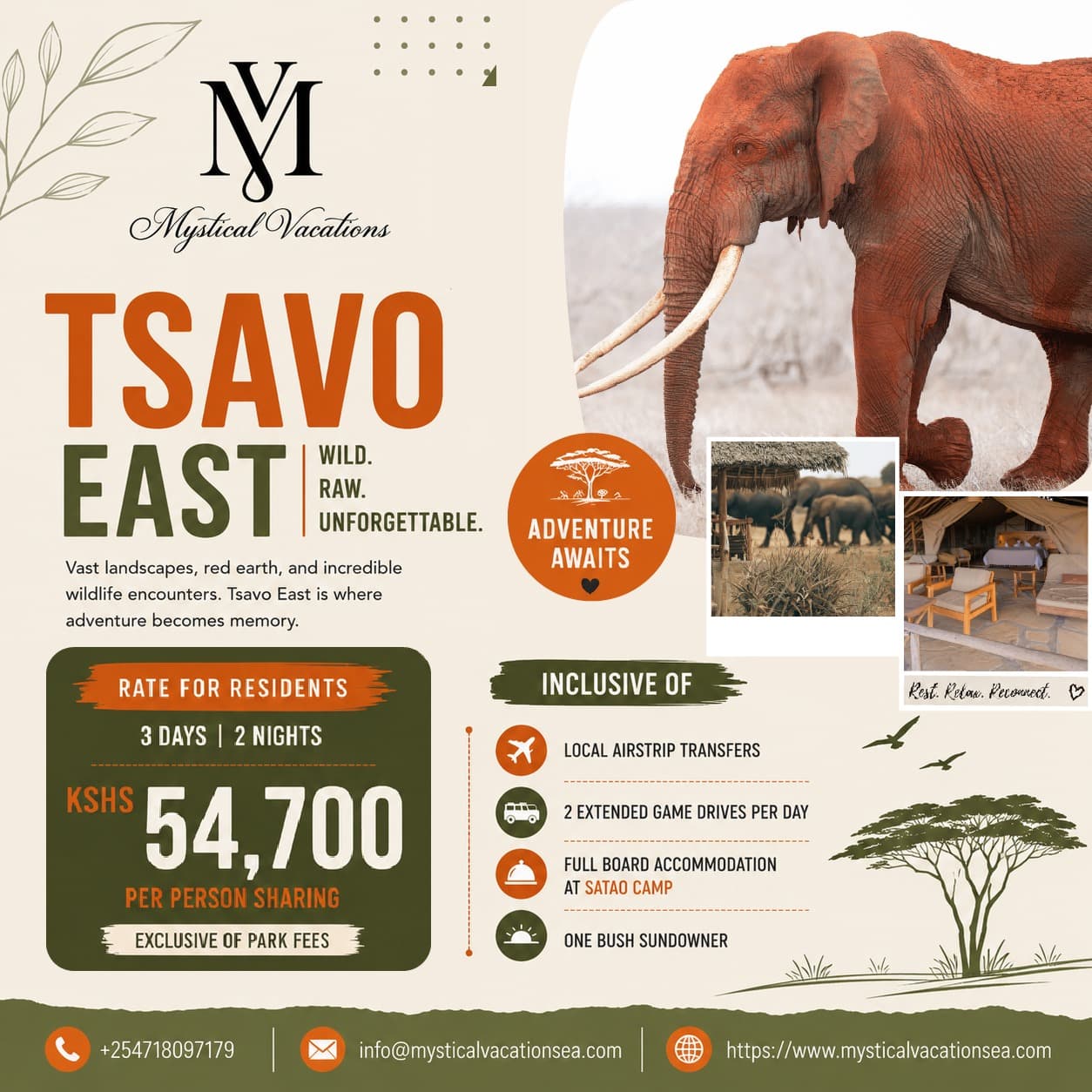 Elephants gathering near a Tsavo East waterhole